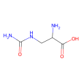 L-Albizziin