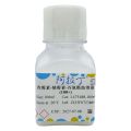青霉素-链霉素-谷氨酰胺溶液 (100×)