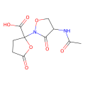 lactivicin