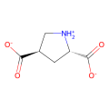 L-trans-2,4-pyrolidine dicarboxylate