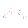 lysophosphatidylcholine
