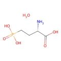 L-AP4 monohydrate