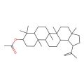 Lupeol acetate