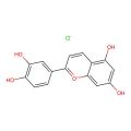 Luteolinidin chloride