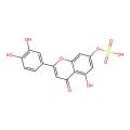 Luteolin 7-sulfate
