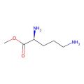 L-ornithine methyl ester