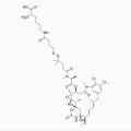 Lys-Nε-SPDB-DM4
