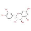 (+)-Leucocyanidin