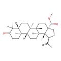 Methyl Betulonate