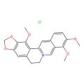 1-Methoxyberberium