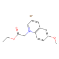 MQAE [1-(乙氧羰基甲基)-6-甲氧基喹啉溴化物]