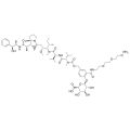 MMAE-PAB(p-glucuronide)-PEG3-aminooxy