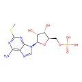 2-Methylthio-AMP