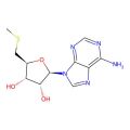 5'-Methylthioadenosine