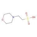 2-吗啉乙磺酸(MES)