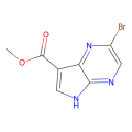 2-溴-5H-吡咯并[2,3-b]吡嗪-7-羧酸甲酯
