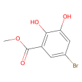 5-溴-2,3-二羟基苯甲酸甲酯
