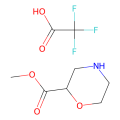 吗啉-2-羧酸2,2,2-三氟乙酸甲酯