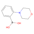 2-吗啉苯基硼酸(含不等量的酸酐)