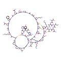 Margatoxin,KV1.3通道阻滞剂