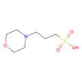 MOPS-Sodium Acetate电泳缓冲液