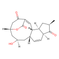 Macquarimicin A