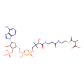 methylmalonyl-CoA