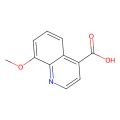 8-methoxyquinoline-4-carboxylic acid
