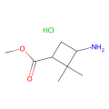 methyl trans-3-amino-2,2-dimethyl-cyclobutanecarboxylate;hydrochloride