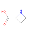 (2S,4S)-4-methylazetidine-2-carboxylic acid