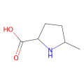 (2R,5R)-5-methylpyrrolidine-2-carboxylic acid