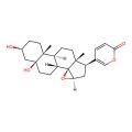 Marinobufogenin
