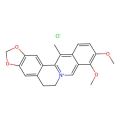 13-Methylberberine chloride