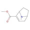 Methyl 8-methyl-8-azabicyclo[3.2.1]oct-3-ene-4-carboxylate
