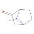 7-methyl-7-azabicyclo[2.2.1]heptan-2-one