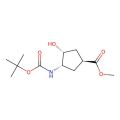 methyl (1S,3S,4R)-3-(tert-butoxycarbonylamino)-4-hydroxy-cyclopentanecarboxylate