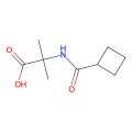 2-(cyclobutylformamido)-2-methylpropanoic acid