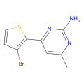 4-(3-溴噻吩-2-基)-6-甲基嘧啶-2-胺