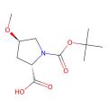 (2S,4R)-1-(叔丁氧基羰基)-4-甲氧基吡咯烷-2-羧酸