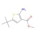 2-氨基-5-叔丁基噻吩-3-羧酸甲酯