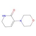 3-吗啉代-5,6-二氢吡啶-2(1H)-酮