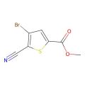 4-溴-5-氰基噻吩-2-羧酸甲酯