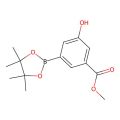 3-羟基-5-(4,4,5,5-四甲基-1,3,2-二氧硼杂环戊烷-2-基)苯甲酸甲酯