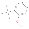 1-(叔丁基)-2-甲氧基苯
