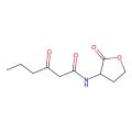 N-(3-Oxohexanoyl)homoserine lactone