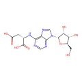 N6-Succinyl Adenosine