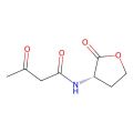 N-(3-Oxobutanoyl)-L-homoserine lactone