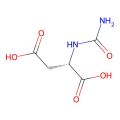 N-carbamoylaspartic acid