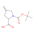 N-BOC-4-亚甲基-L-脯氨酸