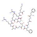 Nociceptin (1-13), amide